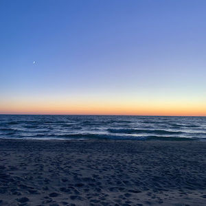 Meet your Posher, Rogen